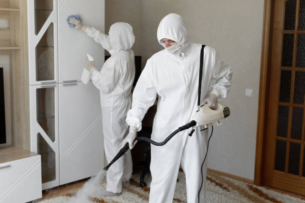 24/7 Emergency Odor Removal experts in Gerton, NC